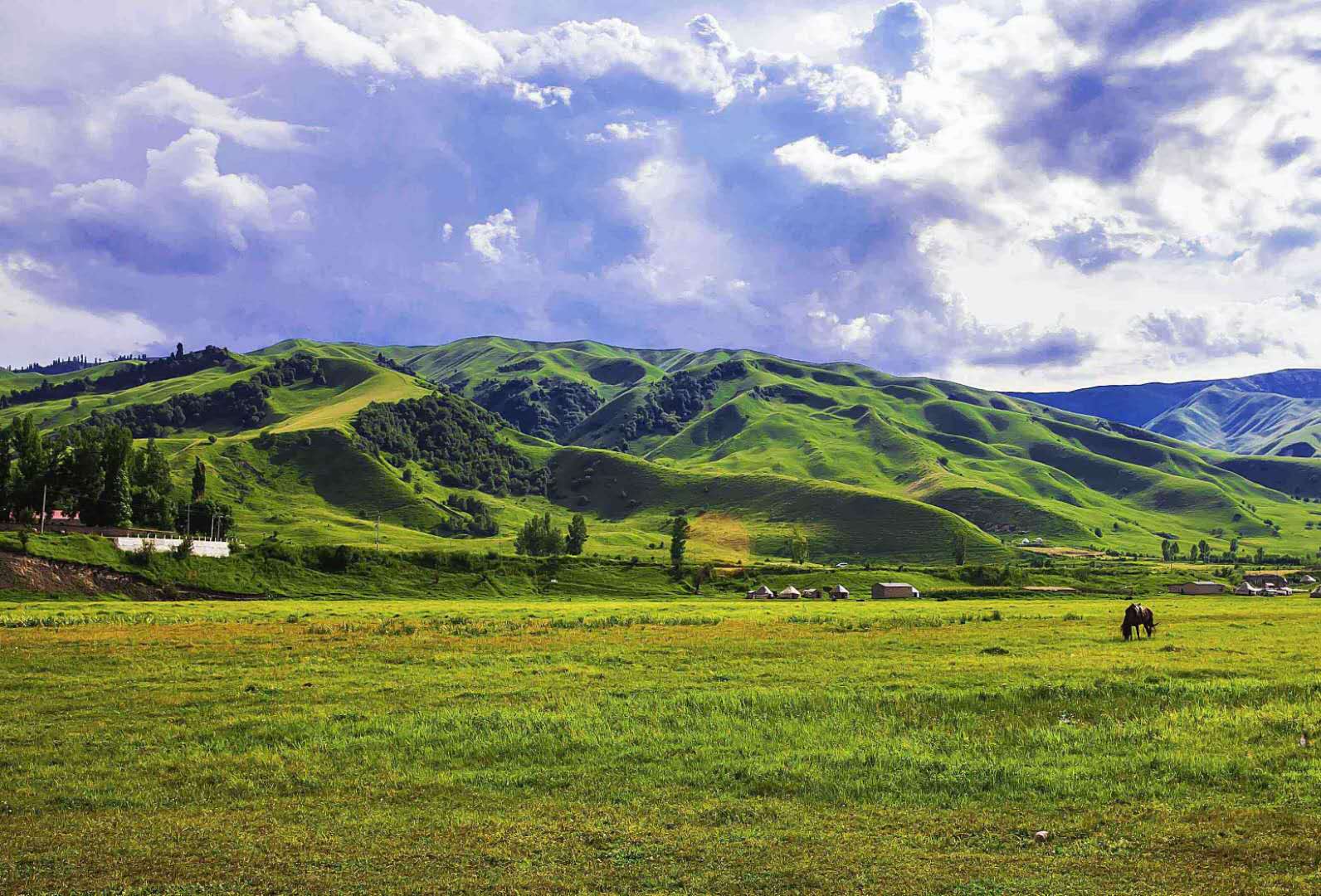 草原生態(tài)系統(tǒng)——草原生態(tài)系統(tǒng)的分布、特點(diǎn)