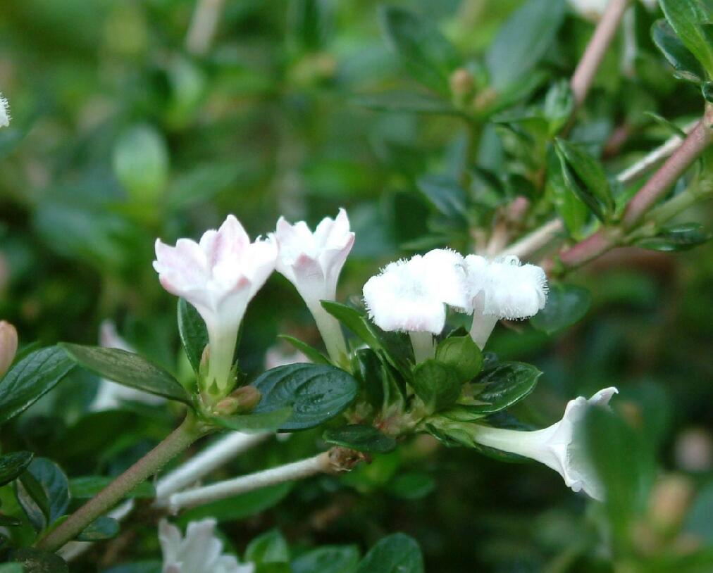 QQ截圖20210219103358.jpg QQ截圖20210219103358.jpg